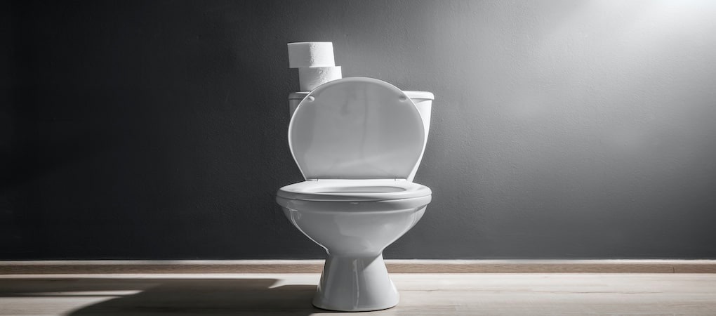 Benjamin Franklin Plumbing Duncanville shows you a Clogged toilet fix