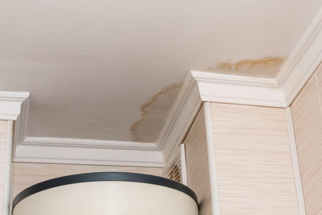 Signs of a Water Leak, Water Stains on Ceiling.