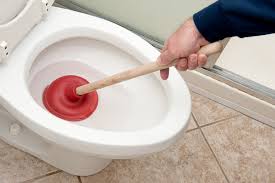 Four Types of Plungers – How to Use Them